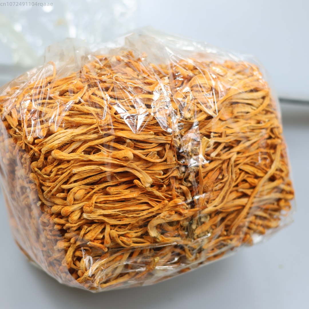 Soap Making Raw Material - 250g/500g Premium Natural Dried Cordyceps Flower
